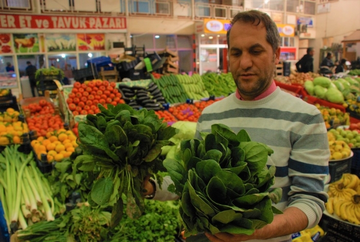 Ispanakta Domino Etkisi