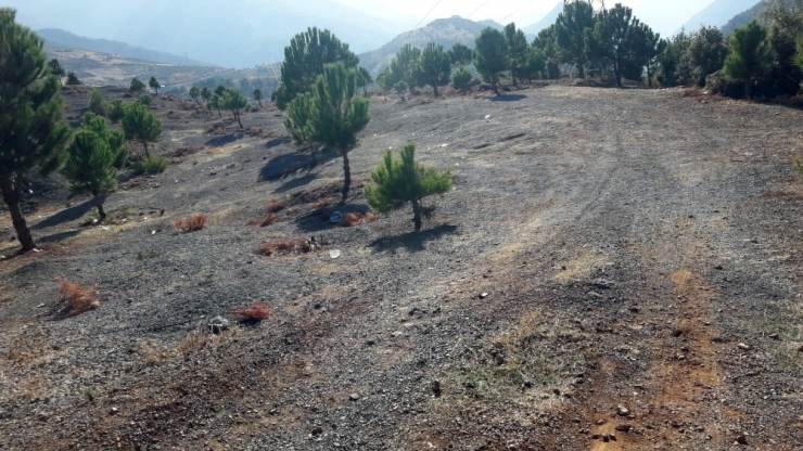 Kahramanmaraş’ta Dedikodu Cinayeti