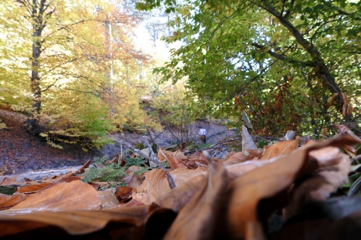Sonbaharın Renkleri Demirci’de Görsel Şölene Döndü