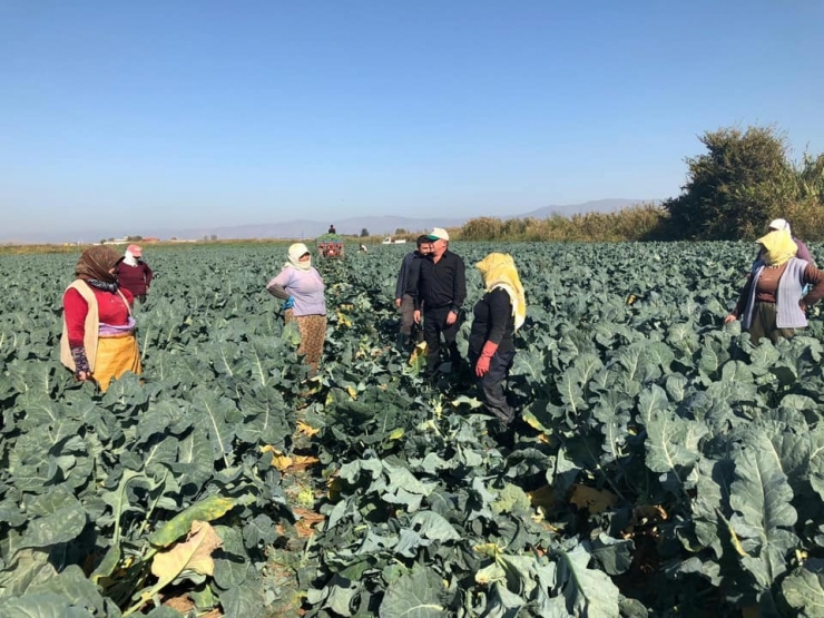 Çiftçinin Beklediği Faiz İndirimi Açıklandı