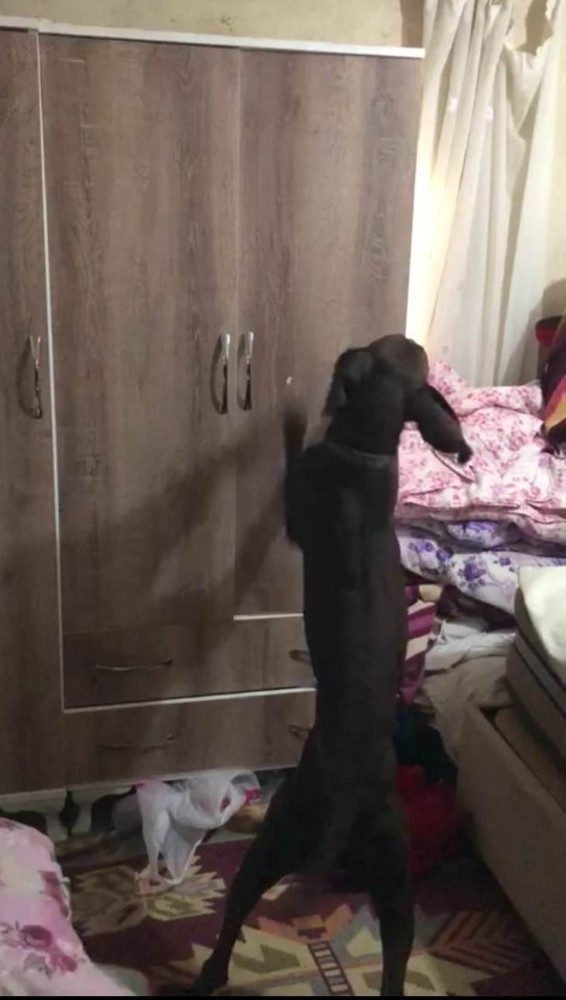 Jandarmadan Esrar Ve Tarihi Eser Operasyonu