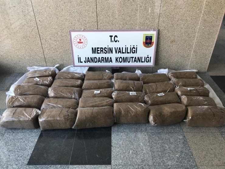 Kaçak Kıyılmış 225 Kilo Tütün Ele Geçirildi