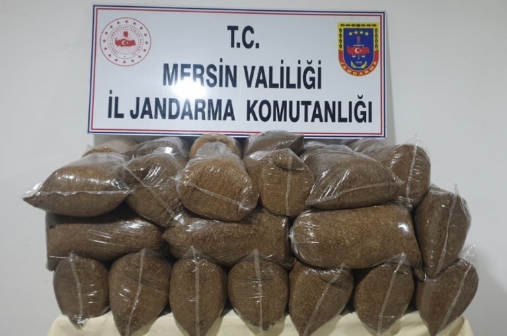 Kaçak Kıyılmış 225 Kilo Tütün Ele Geçirildi