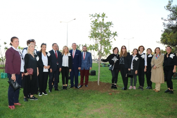 Manolya Kokulu Şehir Samsun