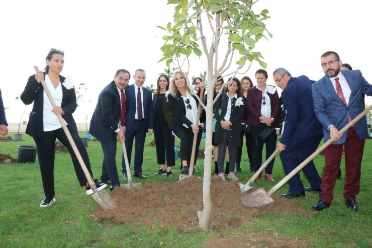 Manolya Kokulu Şehir Samsun