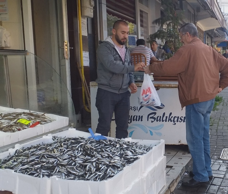 Hamsi Fiyatı Karadeniz’de 7 Tl’ye Düştü