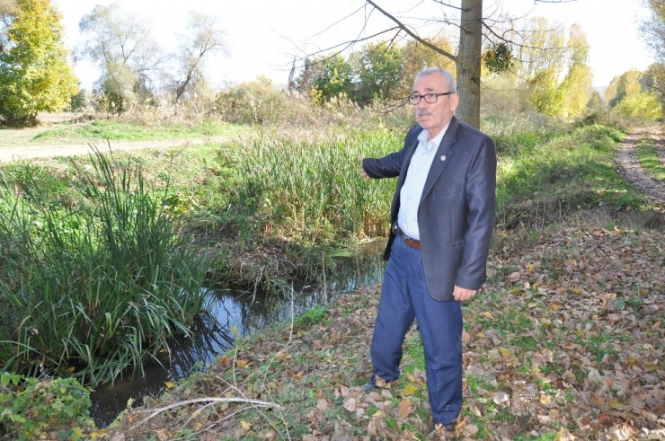 Balaban Çayı’na İlk Neşter