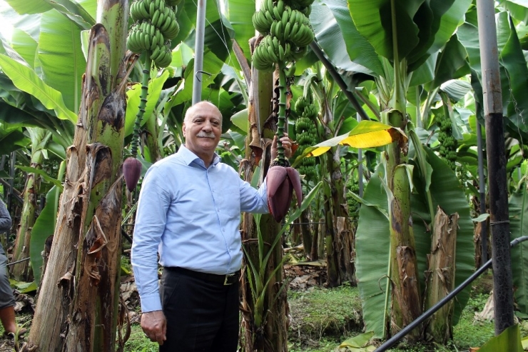 Tzob Genel Başkanı Bayraktar, Antalya’da
