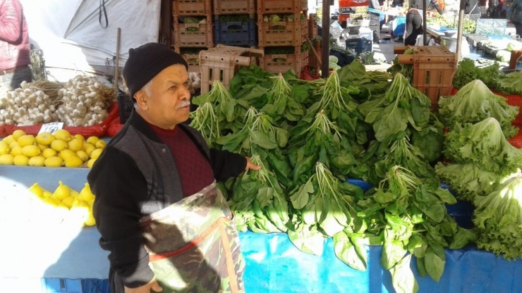 Yedi Cücelerden Ispanak Haberlerine Tepki