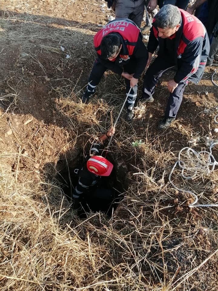 Kuyuya Düşen Oğlak Kurtarıldı