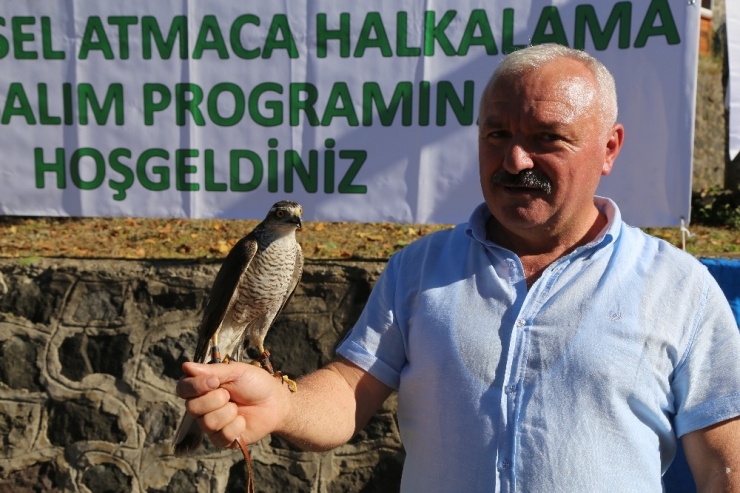 Atmacalar Bu Kez Özgürlüğe Kanat Çırptı