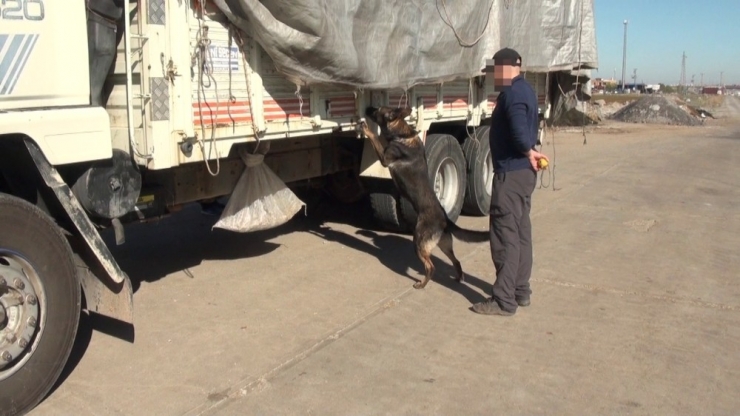 Terörün Finans Kaynağına Büyük Darbe, Kullanıma Hazır 489 Kilogram Esrar Ele Geçirildi