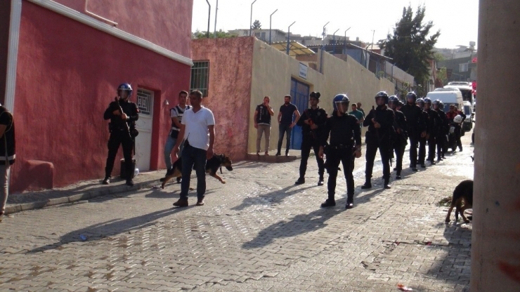İskenderun Polisinden Dedektör Köpeklerle Uyuşturucu Baskını
