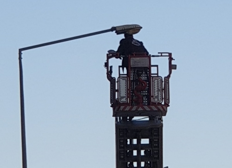 Sokak Lambasına Takılan Güvercini İtfaiye Kurtardı