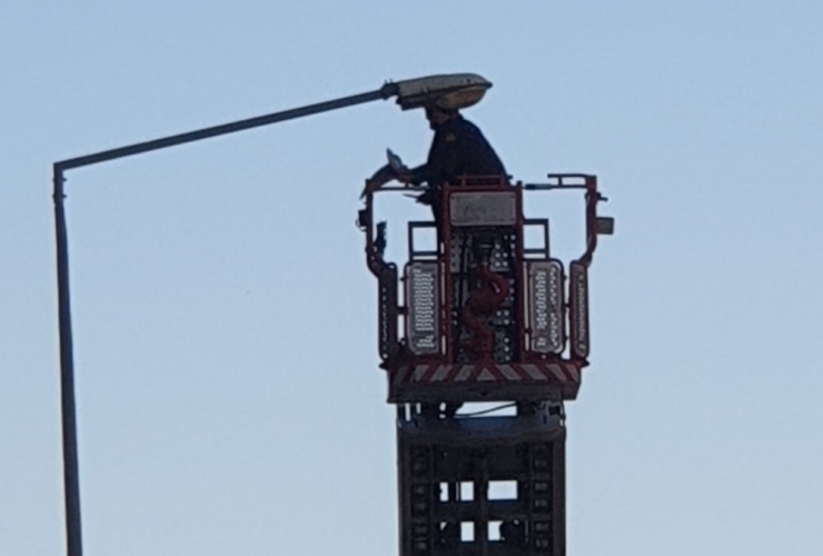 Sokak Lambasına Takılan Güvercini İtfaiye Kurtardı