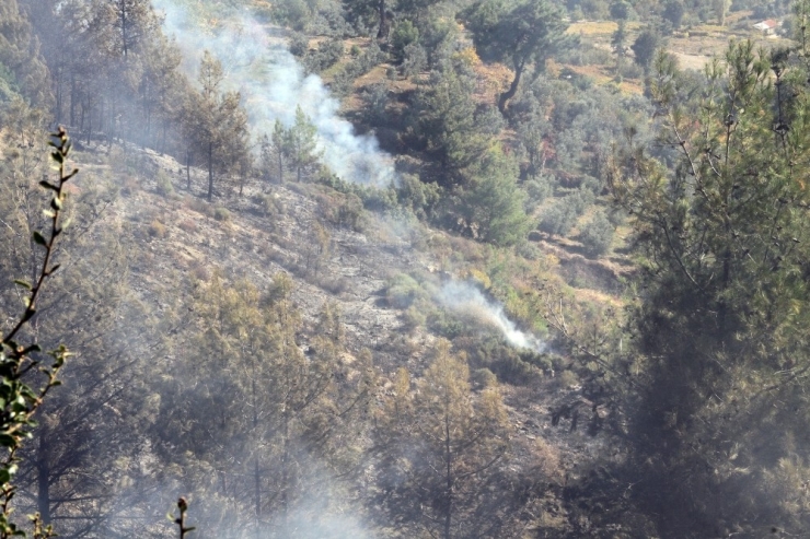 Seydikemer’de Anız Yangını Ormana Sıçradı