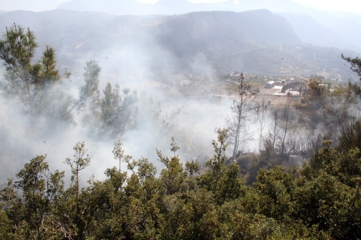 Seydikemer’de Anız Yangını Ormana Sıçradı
