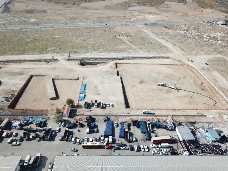 Kayısıda Tek Söz Sahibi Türkiye Olacak