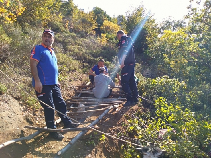 Uçurumda Mahsur Kalan İnek İçin Afad Seferber Oldu