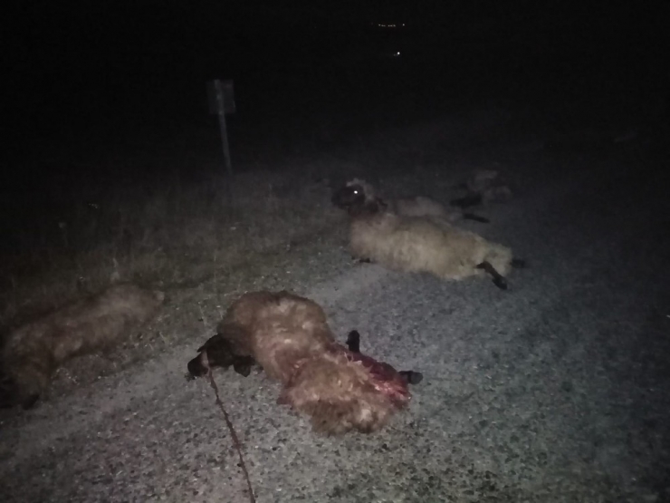 Minibüs Sürüye Daldı; Şoför Yaralandı, 30 Koyun Telef Oldu