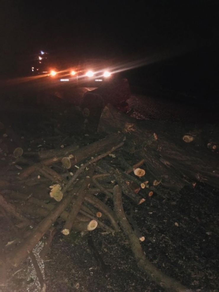 Ağaç Yüklü Traktör İle Otomobil Çarpıştı: 3 Yaralı