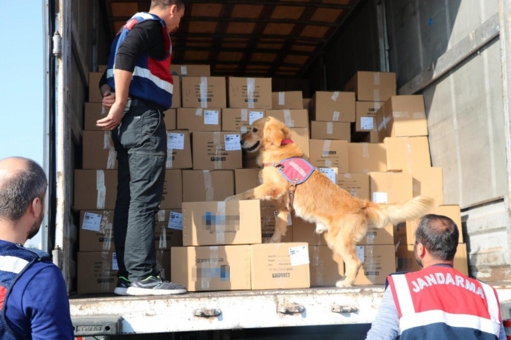 İzmir’de Huzur Operasyonu