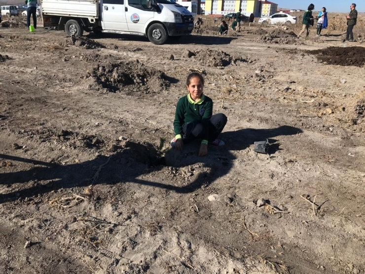 Kars’ta Kar Sincapları Spor Kulübü Öğrencilerle Birlikte Fidan Dikti