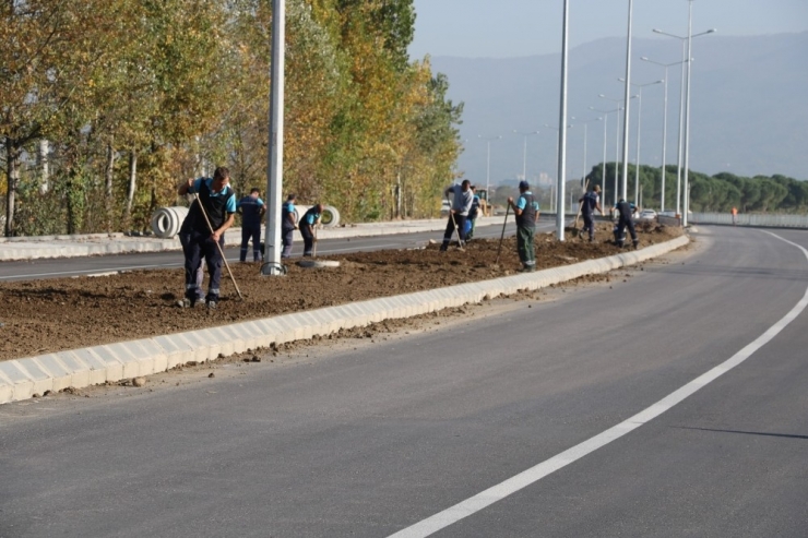 Salim Dervişoğlu Caddesi Yeşillendirildi