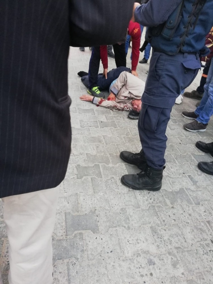 At Arabasının Çarptığı Yaşlı Adam Yaralandı