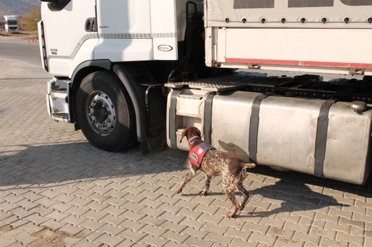 Tosya D-100 Karayolunda Huzur Operasyonu