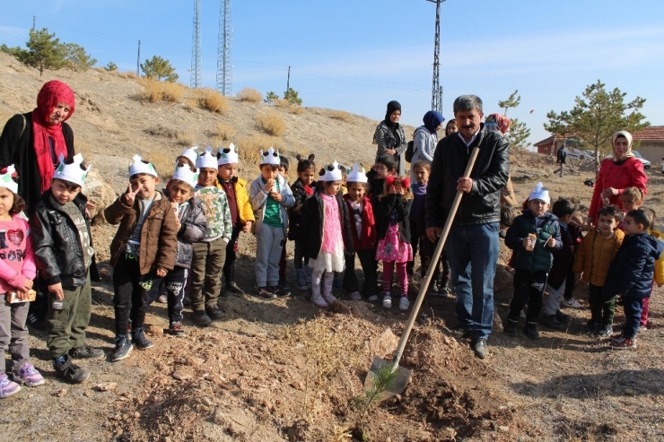 Gemerek’te 30 Bin Fidan Toprakla Buluştu