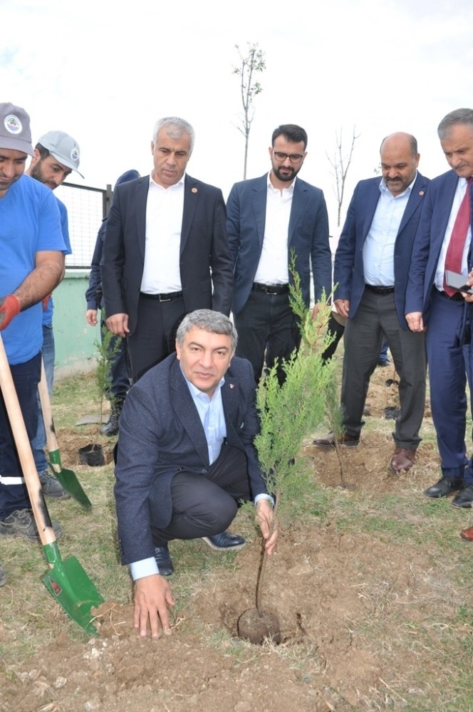 Dilovası’nda 8 Bin Fidan Toprakla Buluştu