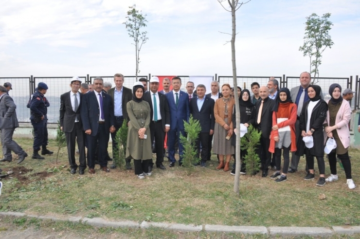 Dilovası’nda 8 Bin Fidan Toprakla Buluştu