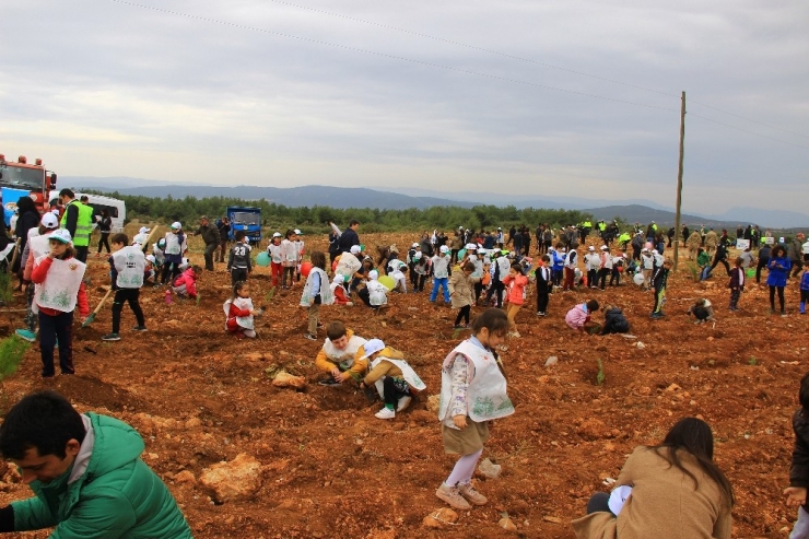 Muğla’da 200 Bin Fidan Toprakla Buluştu