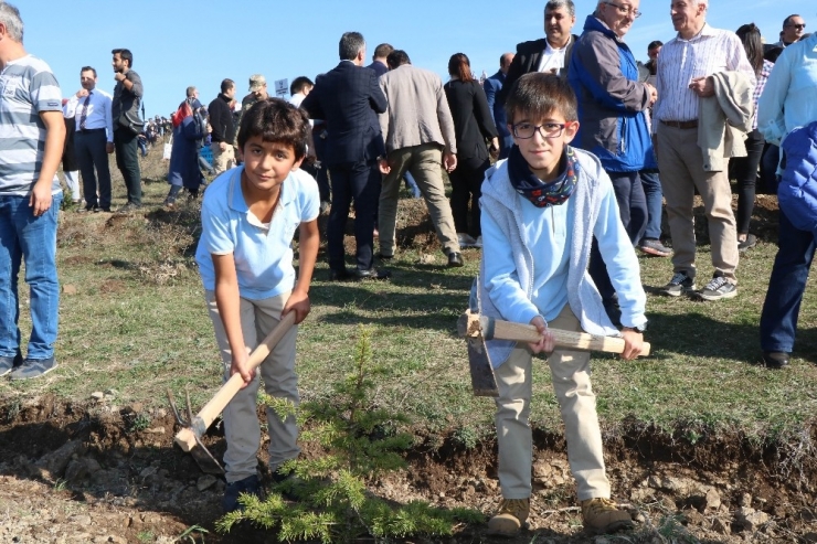 7’den 70’e Herkes Güle Oynaya Fidan Dikti