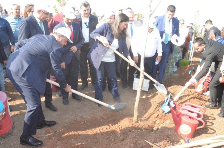 Adana’da 205 Bin Fidan Toprakla Buluştu