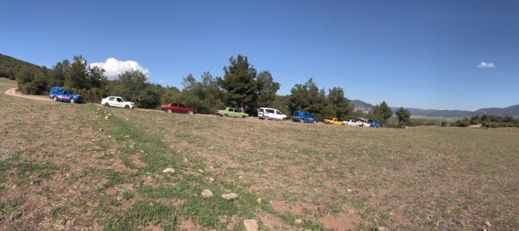 Antalya’da Yasa Dışı Köpek Dövüşüne Baskın