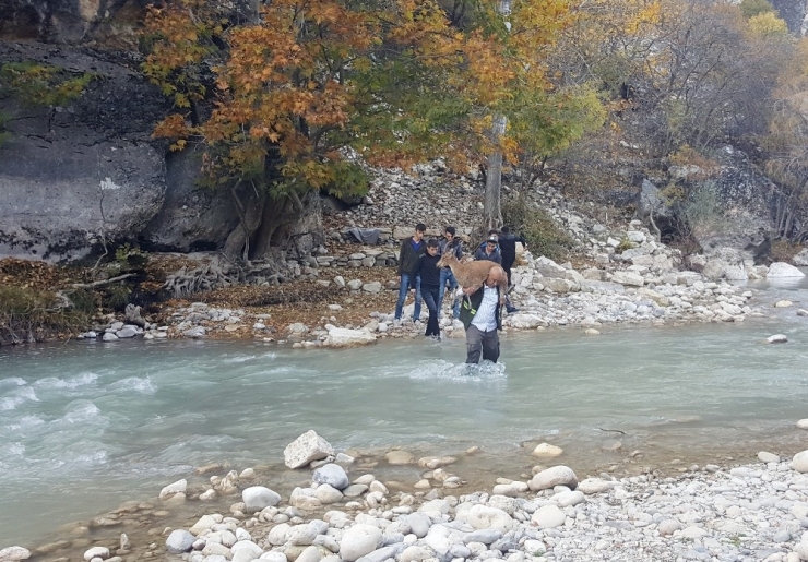 Gençler Ve Ekipler Seferber Oldu, Tüm Çabaya Rağmen Yaban Keçisi Kurtarılamadı