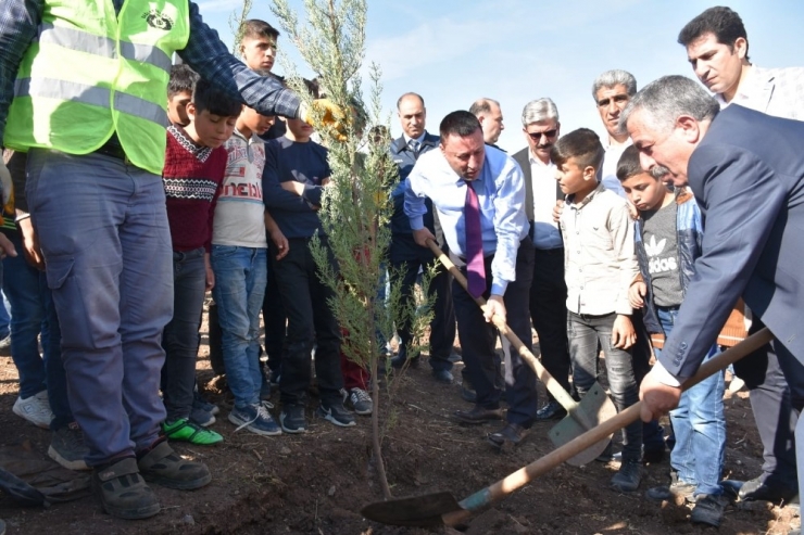 Başkan Beyoğlu, Fidan Dikti
