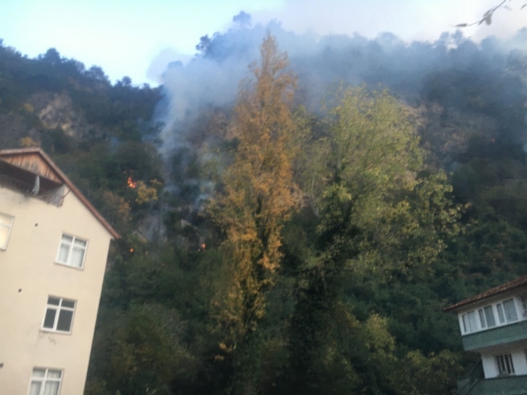 Bartın’da Orman Yangını Köyü Tehdit Ediyor