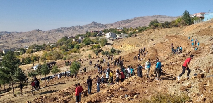 Kozluk’ta Fidan Dikim Etkinliği