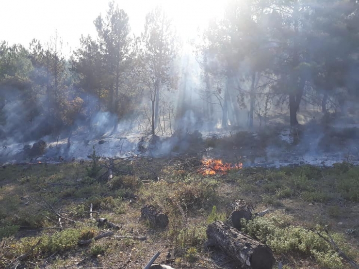 Ormanlık Alanda Yangın