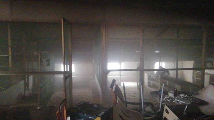 Süs Tavukları Ve Güvercinlerin Bulunduğu Çatı Katında Yangın Paniği