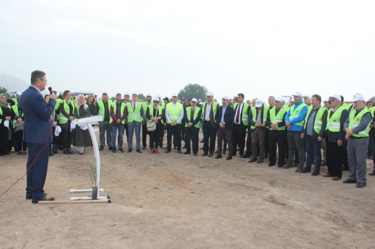 Çan’da 25 Bin Fidan Toprakla Buluştu