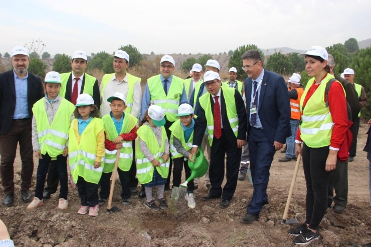 Çan’da 25 Bin Fidan Toprakla Buluştu