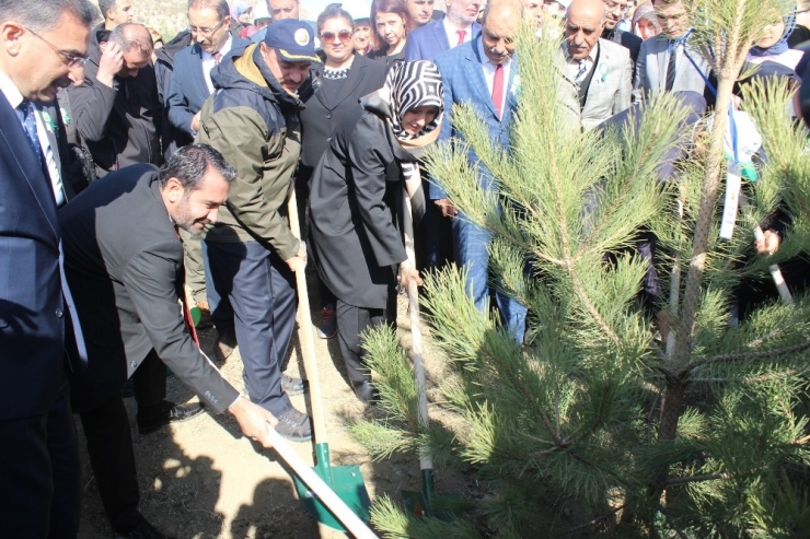 Elazığ’da 250 Bin Fidan Toprakla Buluştu