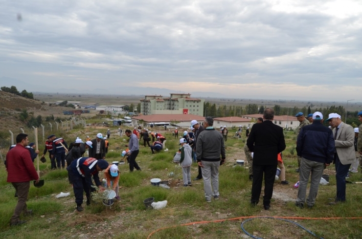 Söke’de 1500 Fidan Toprakla Buluşturuldu