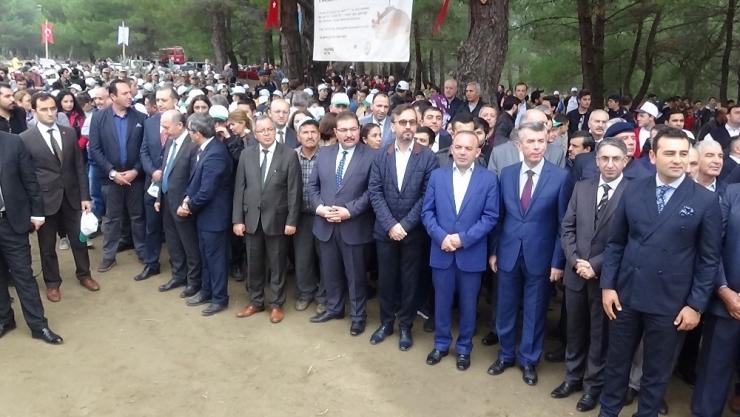 Kazdağları’nda 21 Bin 380 Fidan Toprak İle Buluştu