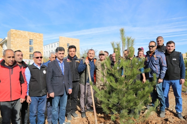 Tunceli’de 230 Bin Fidan Toprakla Buluştu
