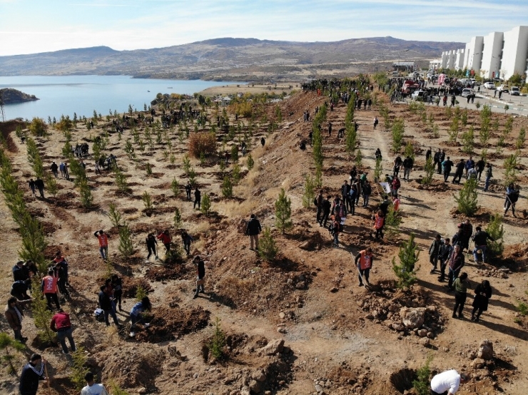 Tunceli’de 230 Bin Fidan Toprakla Buluştu